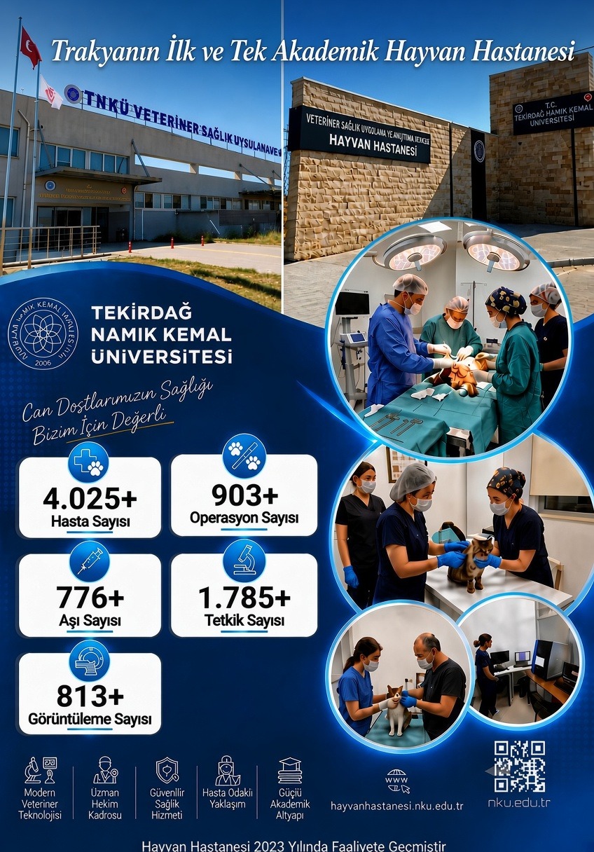Namık Kemal Üniversitesi0